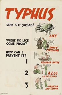 Baths Gallery: WW2 Poster -- Typhus, How Is It Spread?