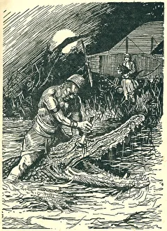 Airman Prints: WW2 - Stranded In The Sudd, Crocodile