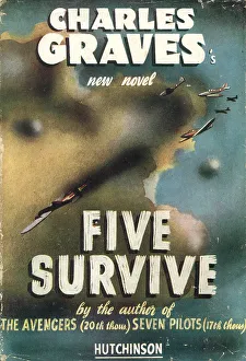 Skies Prints: WW2 - Five Survive