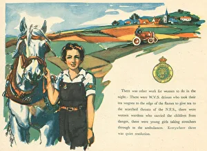 Nicolson Prints: WW2, Women's Land Army