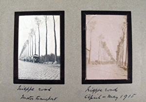 Images Dated 2009 May: 10 May 2009 Collection