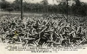 Champagne Collection: WWI - Battle of Champagne - Spent shell casings