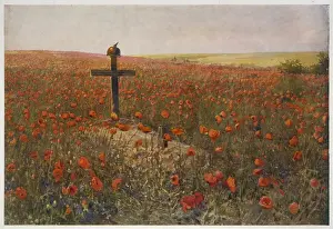 WWI - circa 1919 - Poppy Field