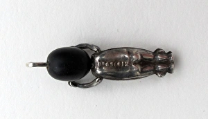 Images Dated 2012 November: 24 Nov 2012 Collection