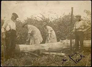 Manoeuvre Prints: Wwi Land Girls / Photo