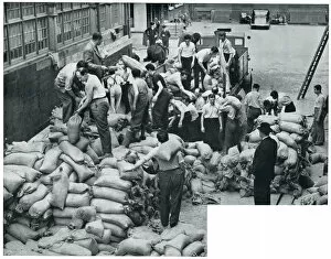 WWII Jewish refugees helping with sandbags