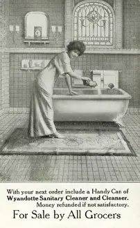 Wyandotte Sanitary Cleaner and Cleanser