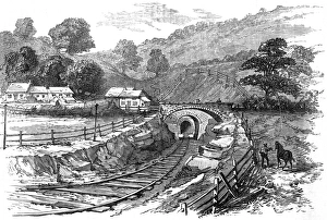 Images Dated 2012 November: 21 Nov 2012 Collection