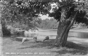 Powys Prints: Where the Wye and Yfron Meet