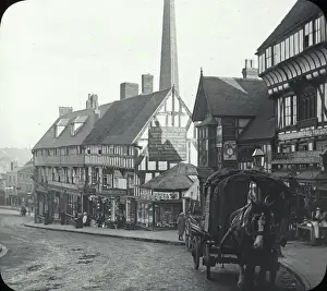 Timbered Prints: Wyle cop