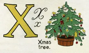 Kiddiewiddies Prints: X for Xmas Tree
