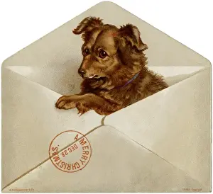 Pops Prints: Xmas Dog in Envelope