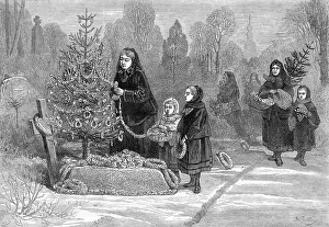 XMAS TREES ON GRAVE