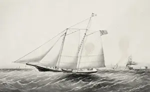 Steers Prints: The yacht Mallory 44 tons: built by Chas. H. Mallory at Myst