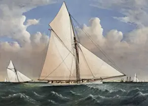Yacht Prints: Yacht Puritan of Boston