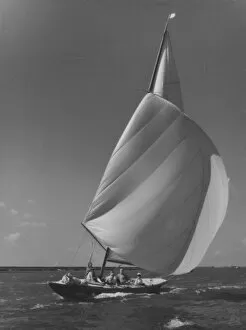 Burnham Gallery: Yacht Racing