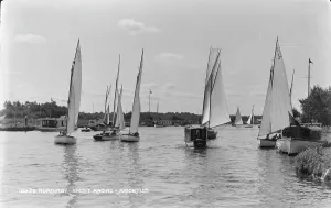 Sailboats Prints: Yacht Racing in Horning