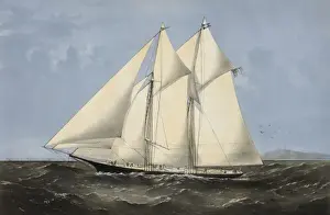 Sappho Prints: The yacht Sappho of New York: leaving Sandy Hook July 28th