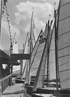 Yachts & Sails
