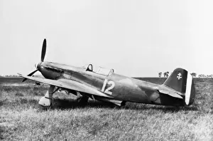 Yakovlev Yak-3
