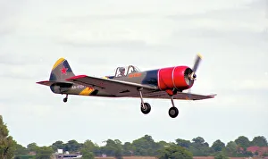 Yakovlev Yak-50 RA-01293