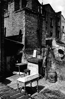 Backyard Prints: Back Yard in St Johns Wood, London