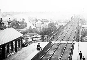 Viaduct Prints: Yarm Railway Station and Viaduct, Victorian period