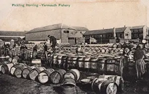 Fishwives Prints: Yarmouth Fishery, Norfolk - Pickling Herring