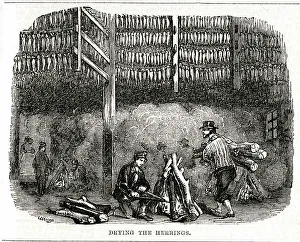 Briton Prints: Yarmouth Herring Fishery, Drying the Herrings