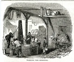 Briton Prints: Yarmouth Herring Fishery, Washing the Herrings