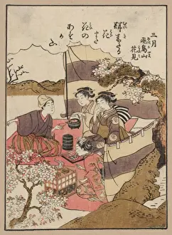 Yayoi asukayama hanami