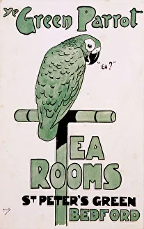 Images Dated 20th March 2018: Ye Green Parrot Tea Rooms, St Peters Green, Bedford