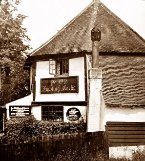 Albans Collection: Ye Old Fighting Cocks, St. Albans, early 1900s