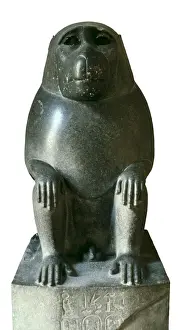 Baboon Prints: Yellow Baboon. ca. 341 BC. Made in granite for