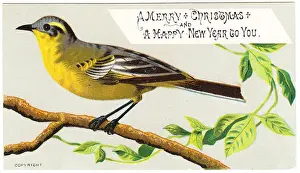 Yellow bird on a Christmas card