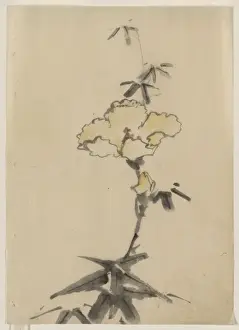 Stalk Prints: Yellow blossom with bud on a stalk above leaves