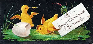Two yellow chicks on a Christmas card