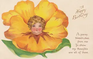 Yellow Flower Faces