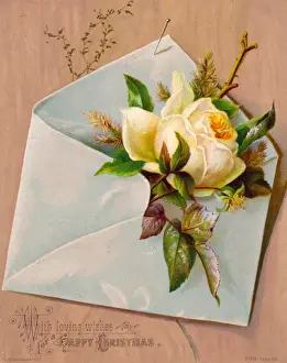 Pinned Prints: Yellow rose in an envelope on a Christmas card