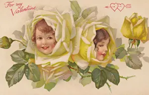 Yellow rose Flower Faces