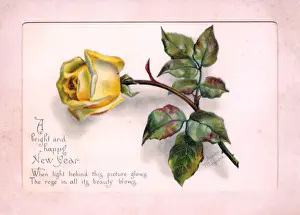 Thorn Prints: Yellow rose on a New Year card