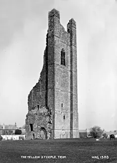 Steeple Prints: The Yellow Steeple, Trim