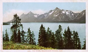 Range Gallery: Yellowstone National Park, Wyoming, USA - The Tetons