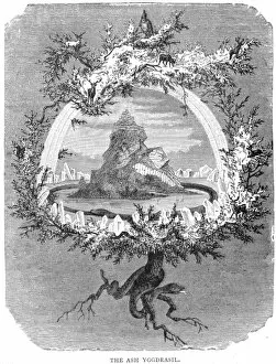 Norse Mythology Collection: Yggdrasil, the Tree of Life in Norse mythology