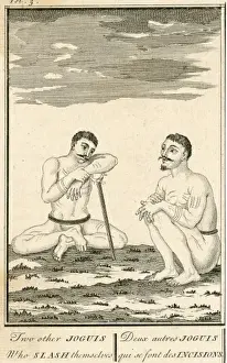 Yogi Self-Mutilators