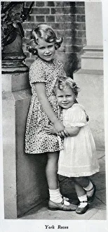 Informal Prints: York Roses, Princesses Elizabeth and Margaret