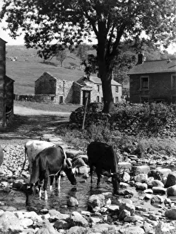 Settle Prints: Yorkshire Scene