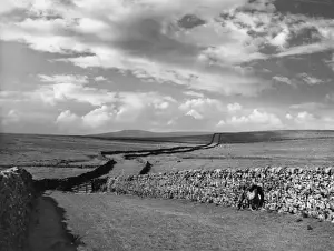 Yorkshire Trackway