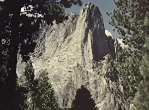 Yosemite Park - California