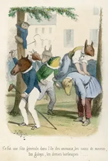 Young Animals at Play